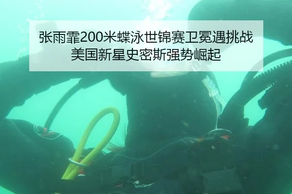 zhang-yu-fei-mi-die-yong-shi-jin-sai-wei-mian-yu-tiao-zhan-mei-guo-xin-xing-shi-mi-si-qiang-shi-jue-qi-2-227.jpg
